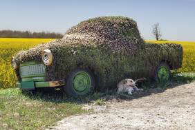 192