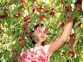 211