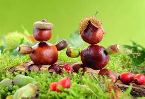 Herbstzeit ist Bastelzeit!