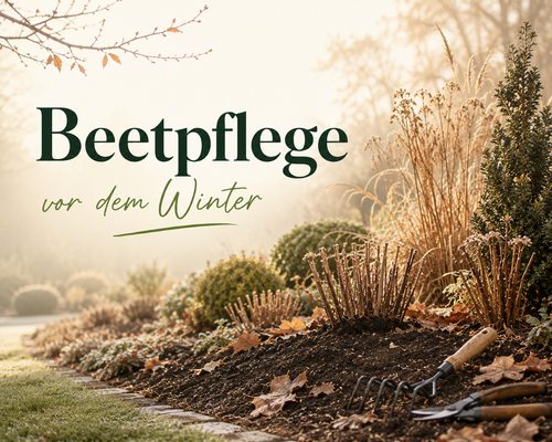 Dein Beet vor dem Winter: Beetpflege 