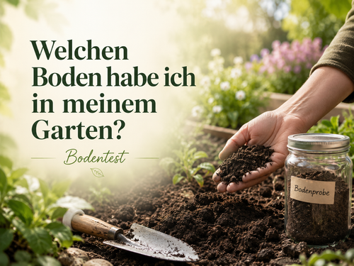 Bodentest