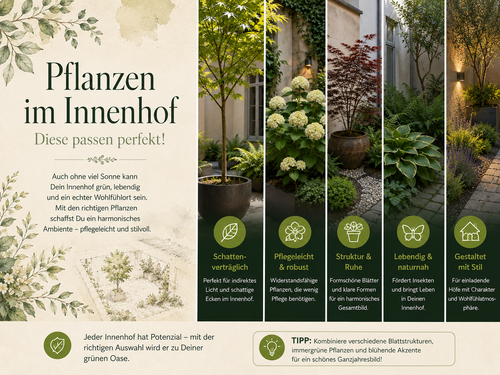 Pflanzen für den Innenhof