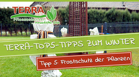 csm_frostschutz-5von-top5-blog_551e8b9c30j2Ptp7ulDJFEs