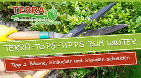 csm_terra-top5-tipps_tipp2_blog_a1c271f9f6
