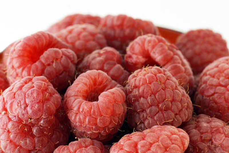 Himbeere 'Malling Jewel' - Rubus idaeus 'Malling Jewel' CAC
