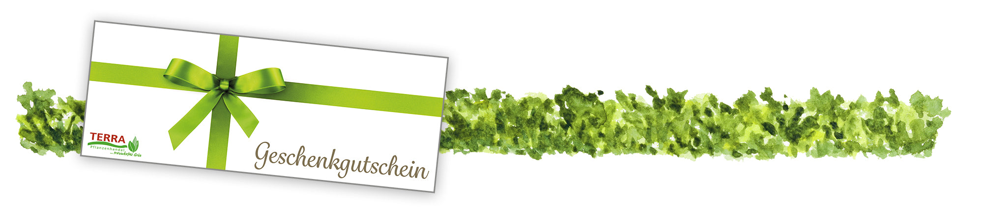 Geschenkgutschein für Pflanzen & Gartenfreude | TERRA